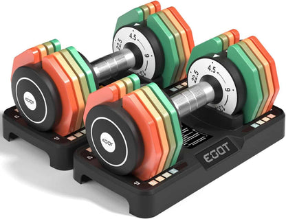 Colorful dumbbells with weight markings on a white background