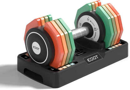 Colorful dumbbell set with weight plates on a white background