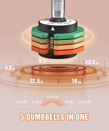Multi-level dumbbell set with color-coded weights on a beige background