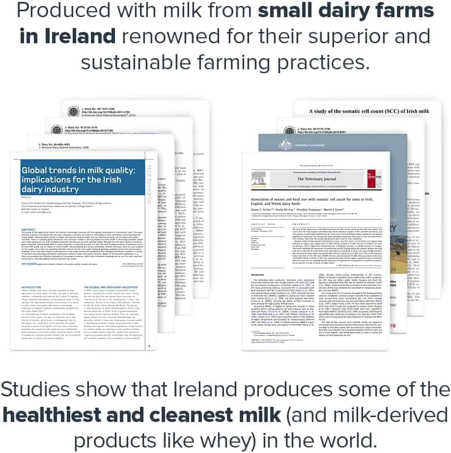 Text about milk from small dairy farms in Ireland and studies on milk quality.
