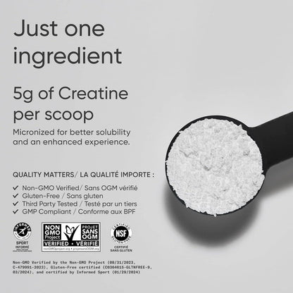 Spoonful of creatine powder with text on a gray background