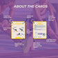Exercises cards with features highlighted on a purple background