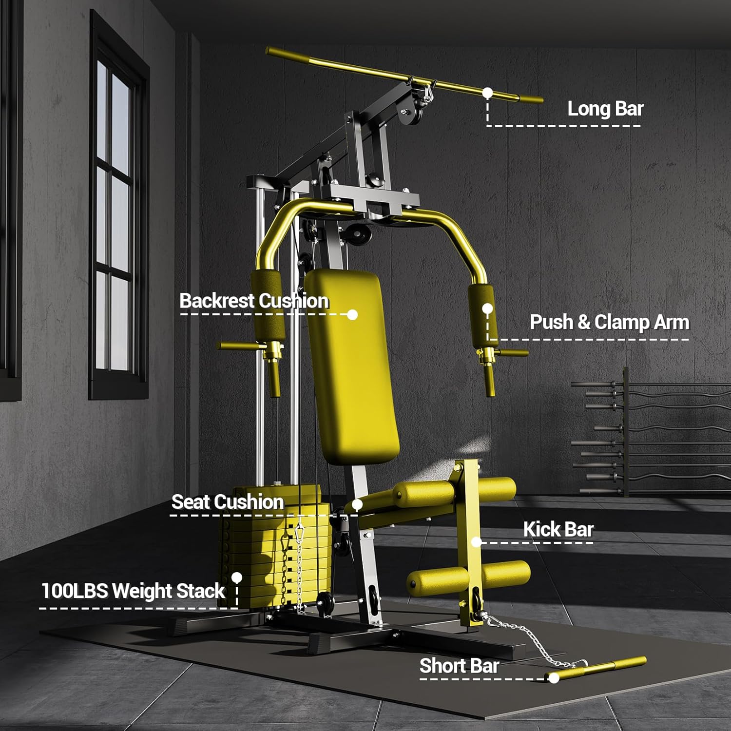 Precision Integrated Carbon Workout Hub: 100LB Home Gym