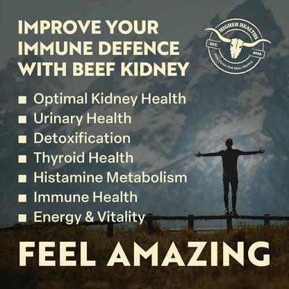 Advertisement for beef kidney benefits with a silhouette of a person against a mountainous background.