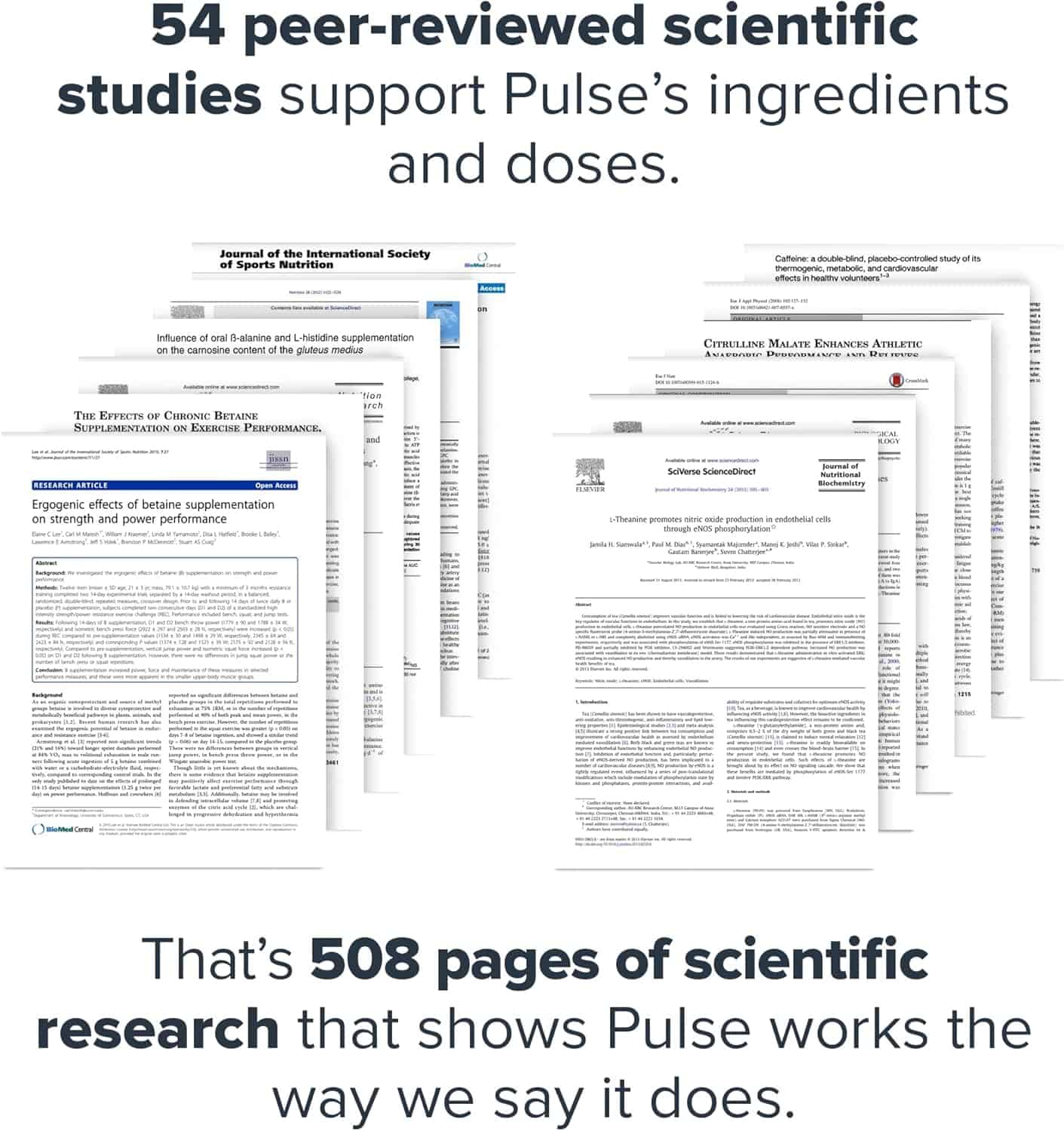Scientific research papers supporting Pulse's ingredients and doses.