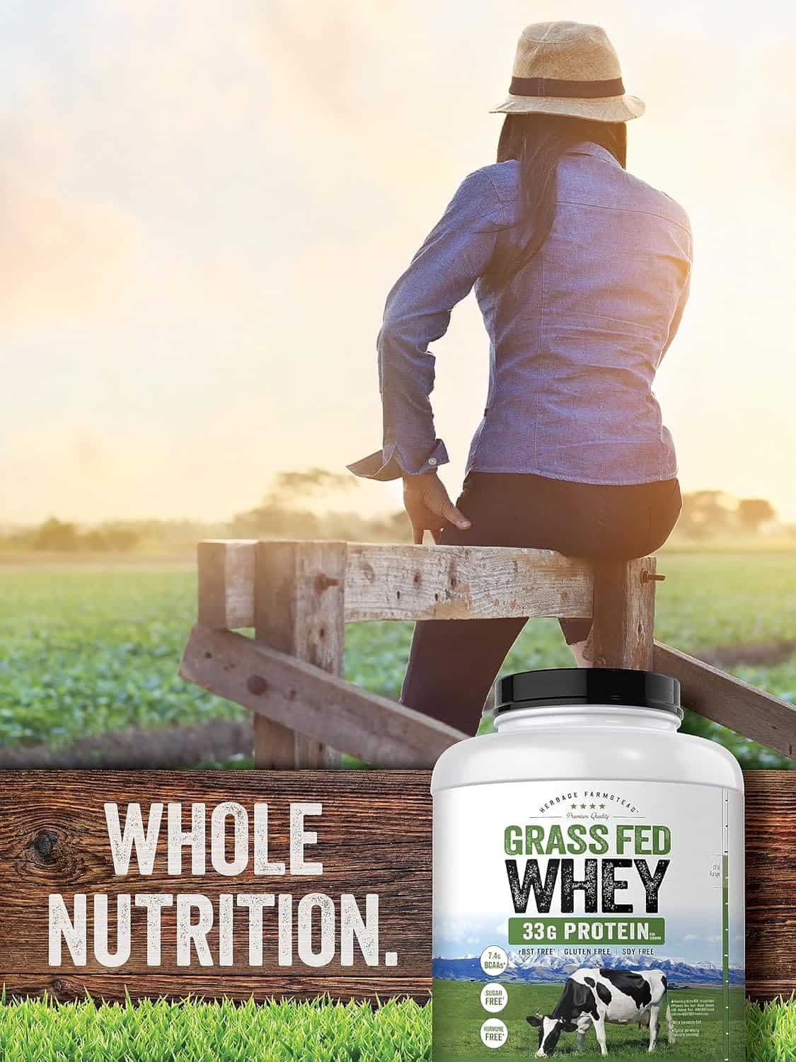 Carlyle Grass Fed Whey Protein Powder – 33g Protein, Unflavored, Sugar-Free & Hormone-Free (5 lb) Carlyle