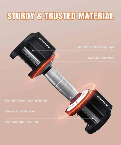 Dumbbell with features highlighted on a beige background