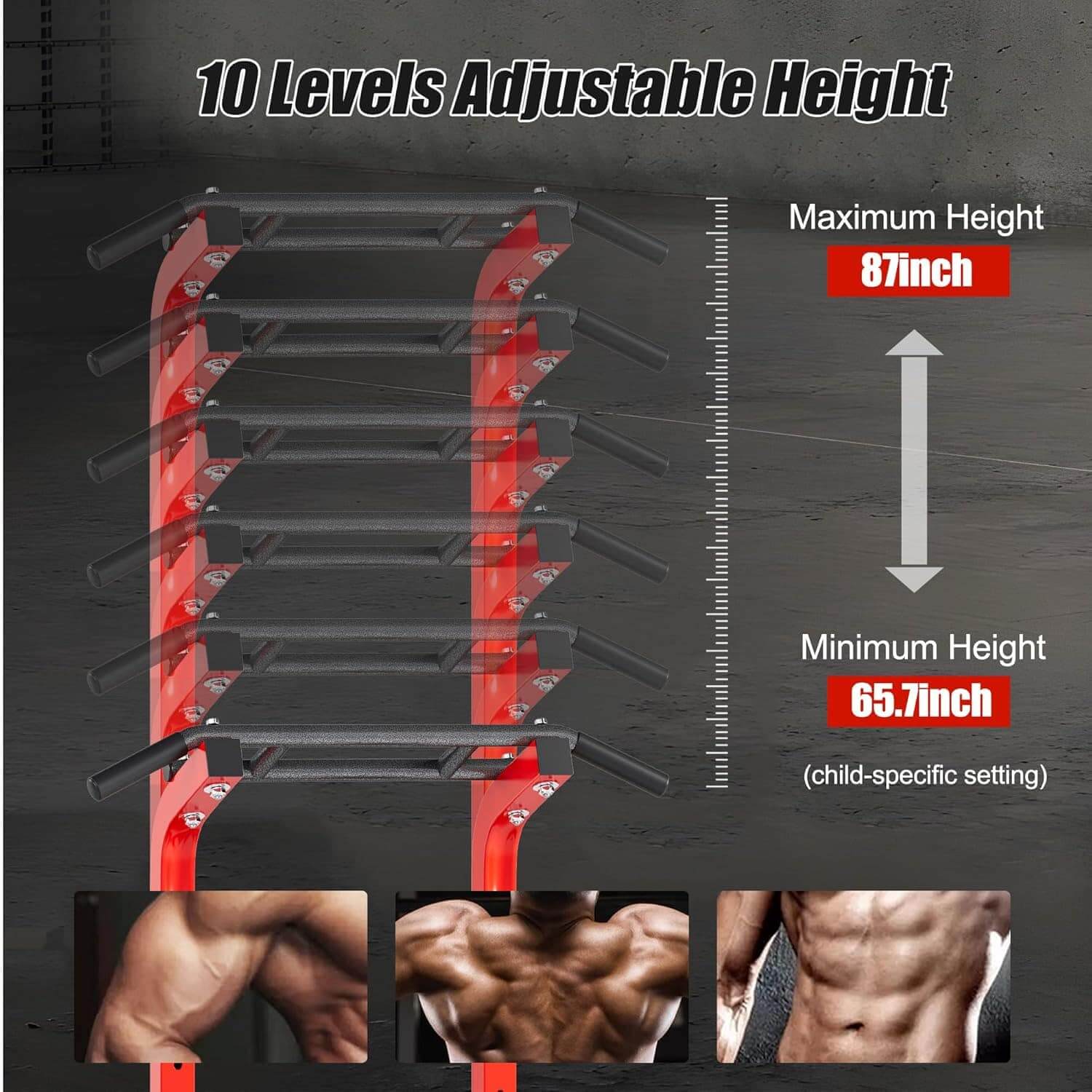 Adjustable height gym rack with measurements and muscle benefits displayed.